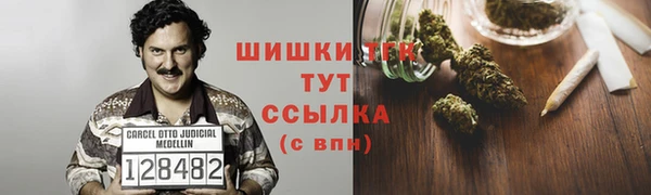 шишки Армянск