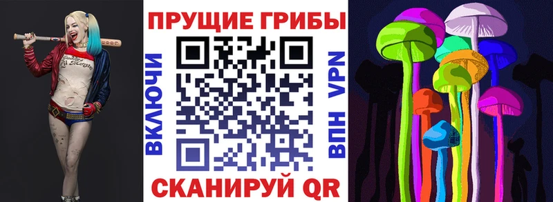 Псилоцибиновые грибы ЛСД  Вихоревка 